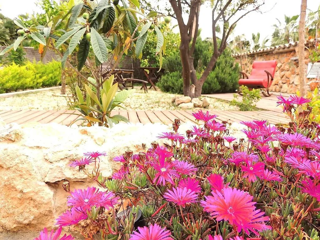 *** 호텔 Villa Palmer I Beachhouse 파게라 스페인